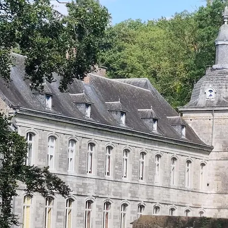 Groot Authentiek En Charmante Woning, 250 Vierkante Meter, Panoramisch Vergezicht, Zonsondergang, Dicht Bij Dinant, Maredsous En Namen * Oret
