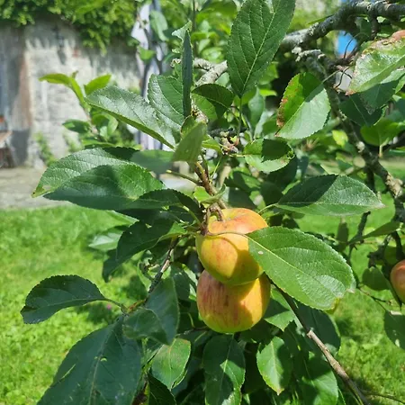 Groot Authentiek En Charmante Woning, 250 Vierkante Meter, Panoramisch Vergezicht, Zonsondergang, Dicht Bij Dinant, Maredsous En Namen Casa de Férias Oret