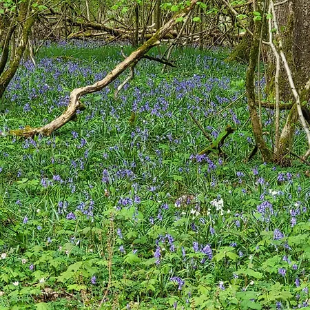 Groot Authentiek En Charmante Woning, 250 Vierkante Meter, Panoramisch Vergezicht, Zonsondergang, Dicht Bij Dinant, Maredsous En Namen