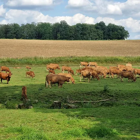 Groot Authentiek En Charmante Woning, 250 Vierkante Meter, Panoramisch Vergezicht, Zonsondergang, Dicht Bij Dinant, Maredsous En Namen * Oret