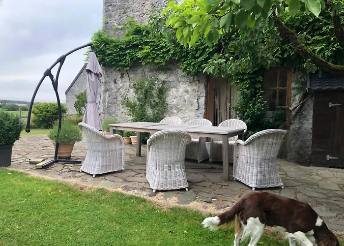 Groot Authentiek En Charmante Woning, 250 Vierkante Meter, Panoramisch Vergezicht, Zonsondergang, Dicht Bij Dinant, Maredsous En Namen Vakantiehuis